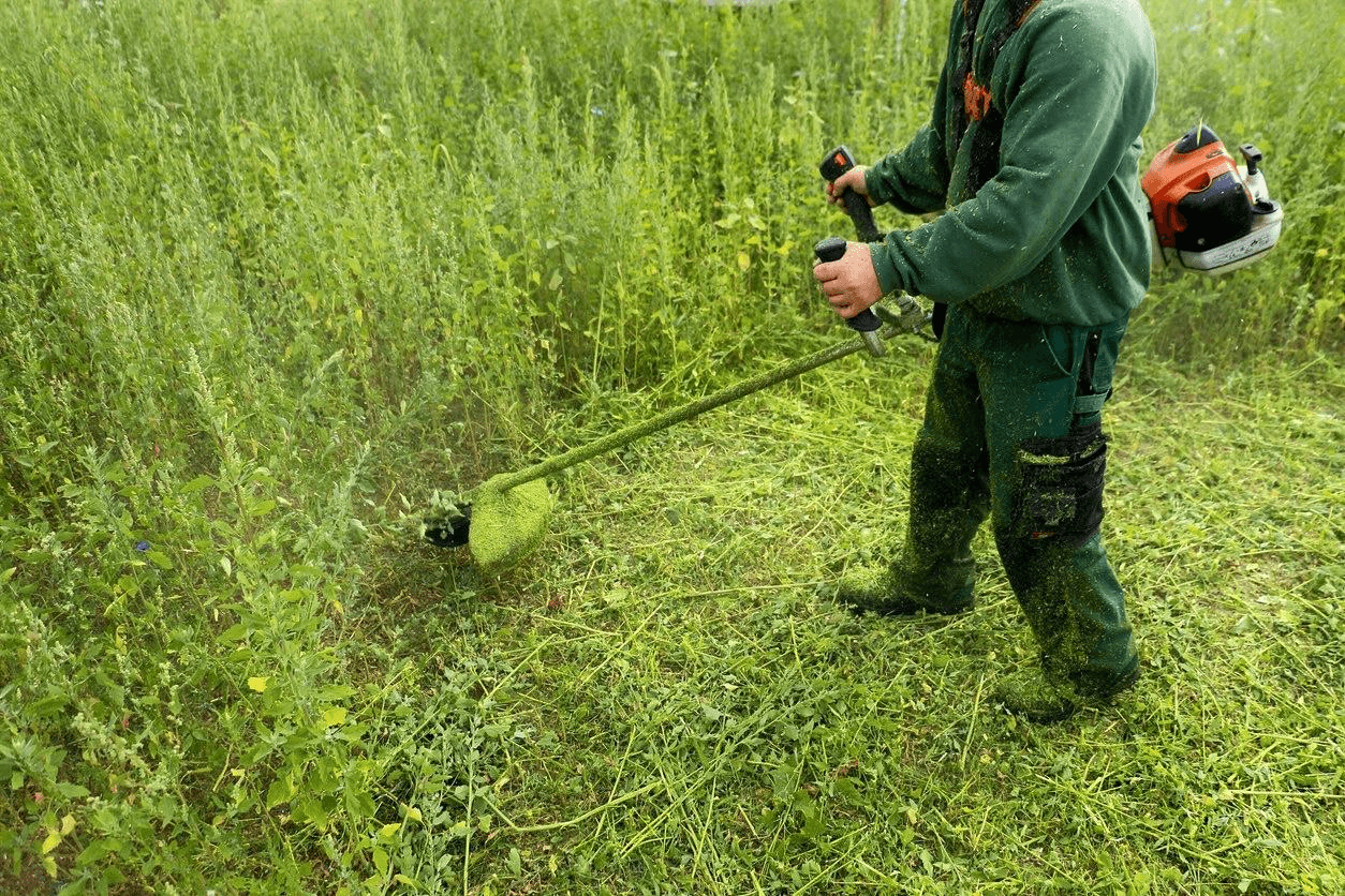 Profesional de AGRORESTAL trabajando en mantenimiento de jardín