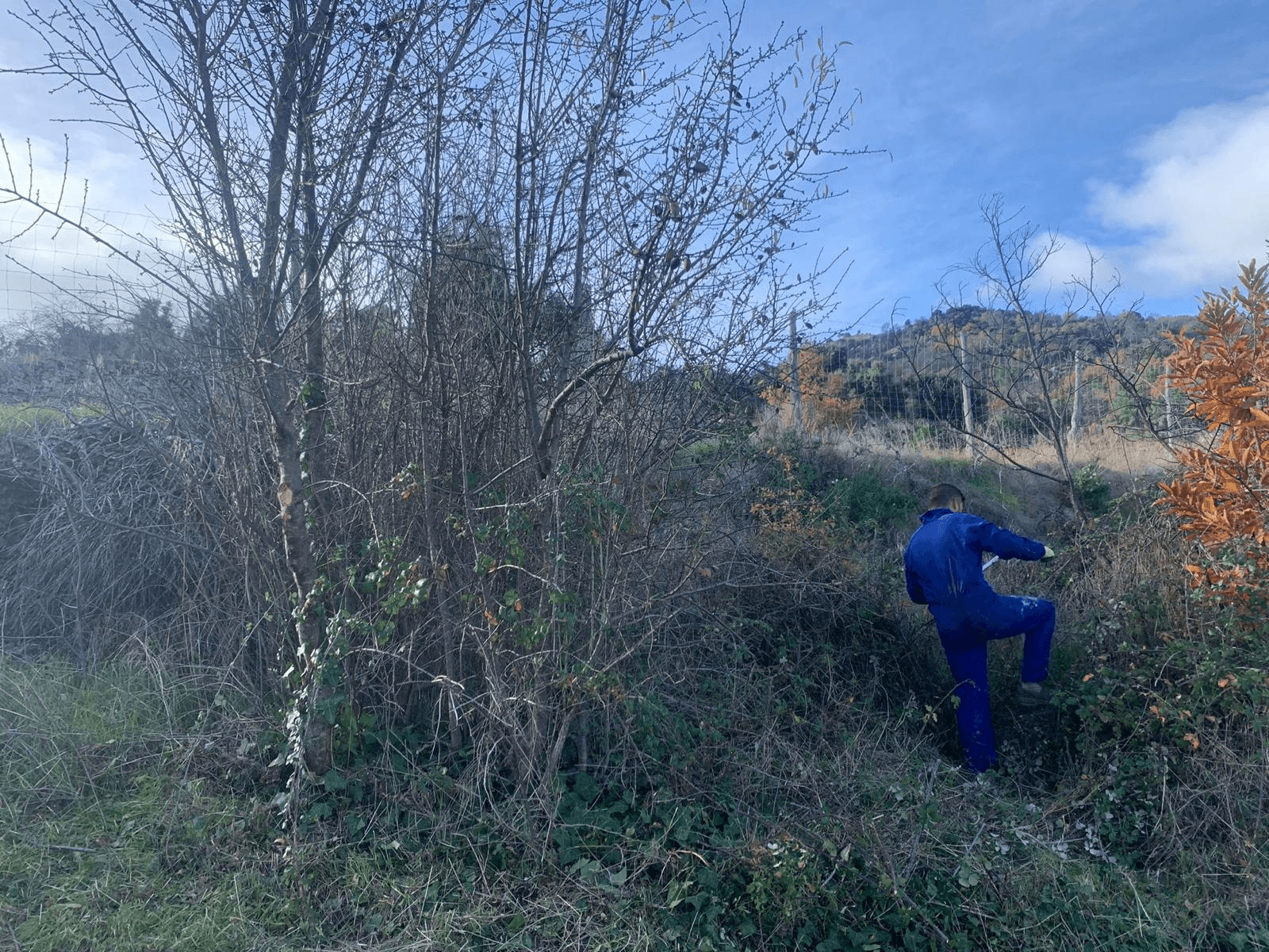 Limpieza y obra