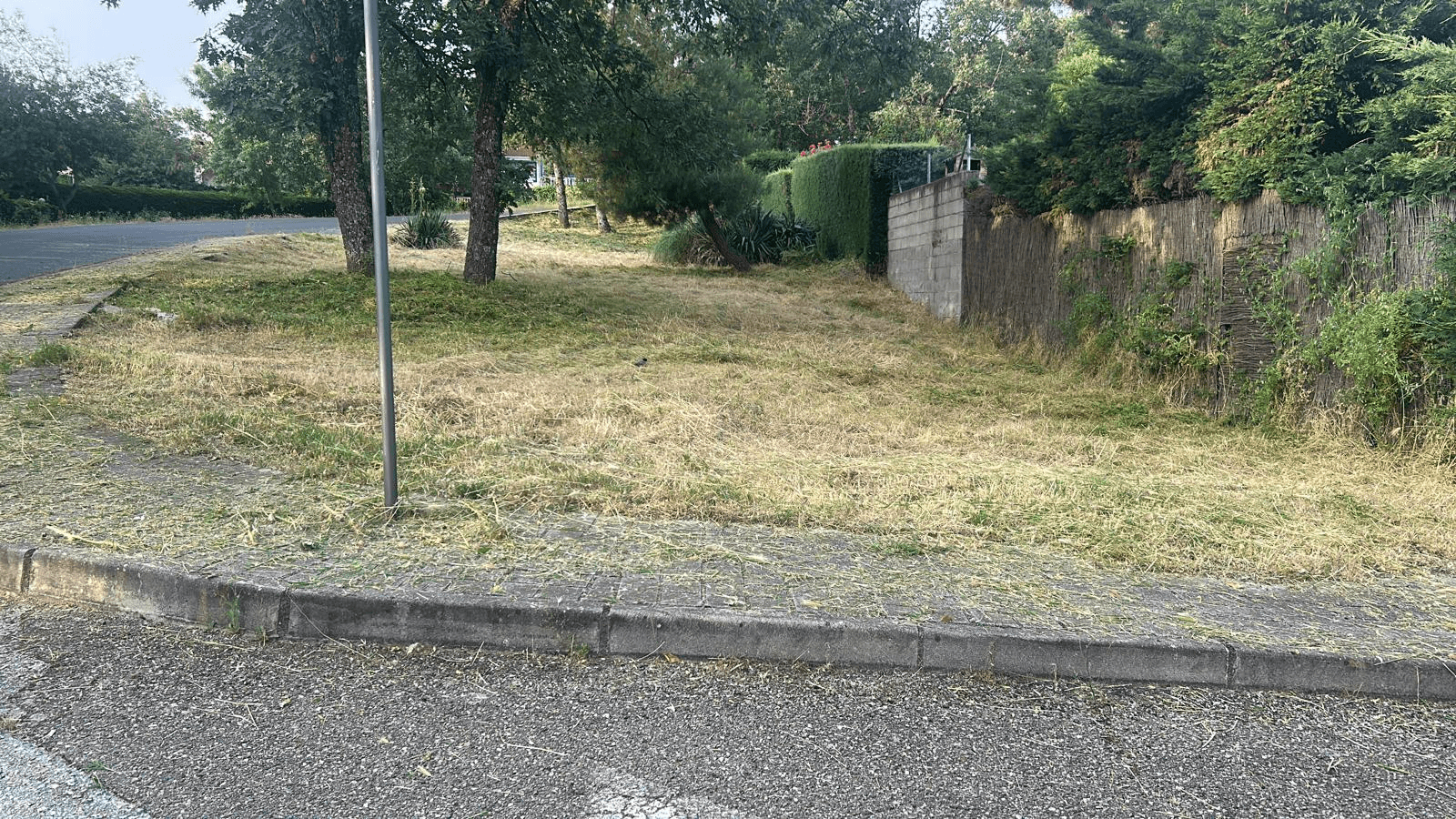 Mantenimiento de jardín en urbanización
