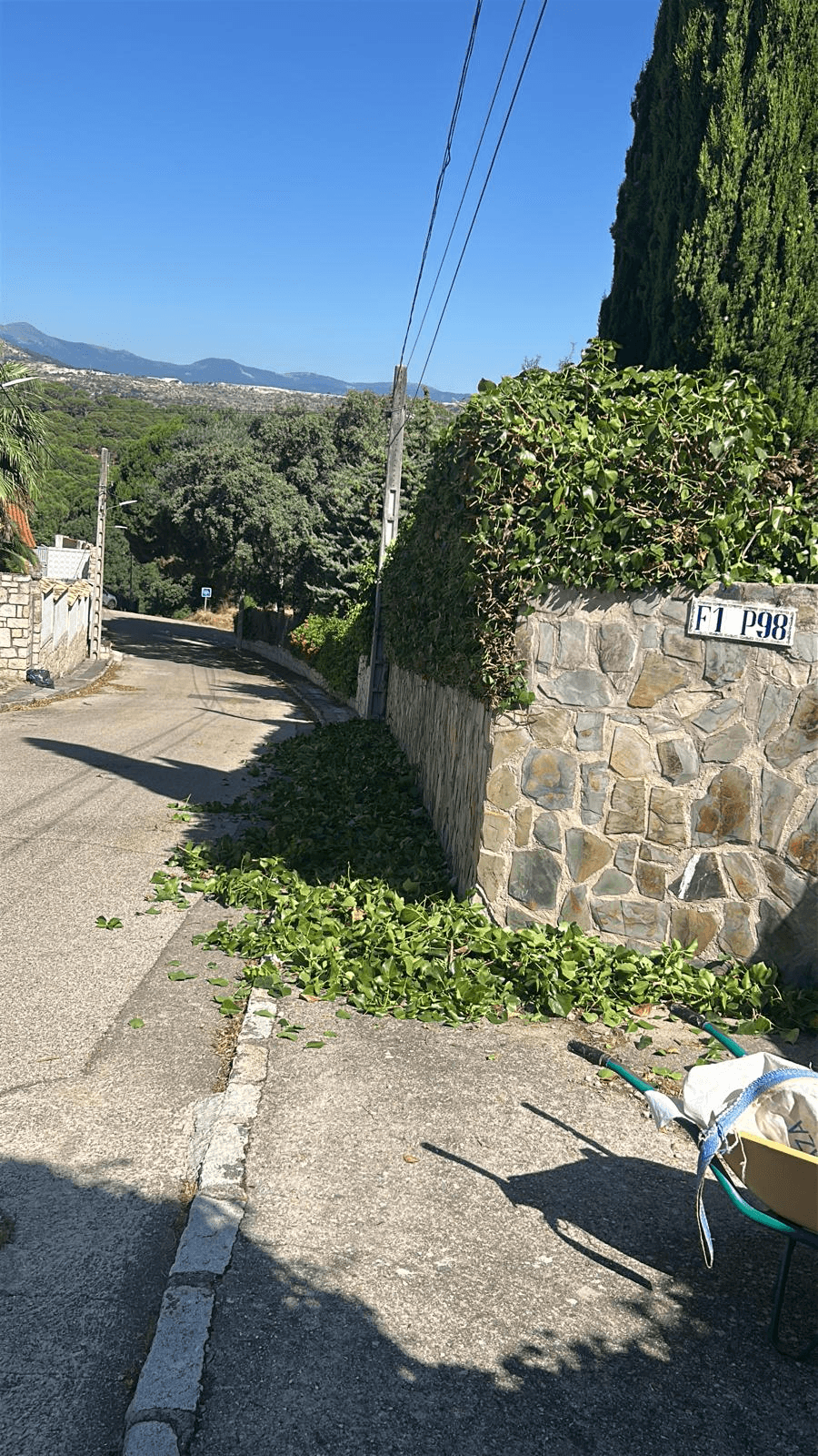 Poda de seto y recorte de vegetación